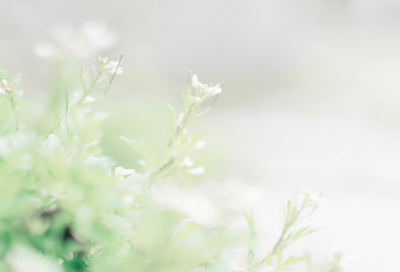 ​忧伤孤独的网名(精选333个)