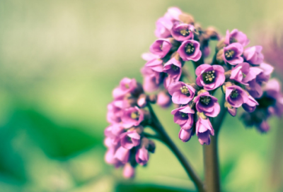 ​特别骚的吃鸡游戏名(优选300个)