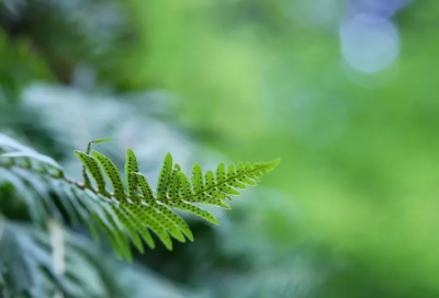 ​4个字的有诗意网名(333个)