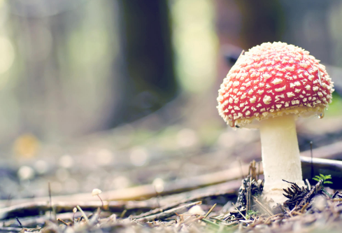 1712139463625508.png image.png