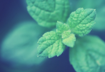 ​女人一看就加的男网名(精选327个)