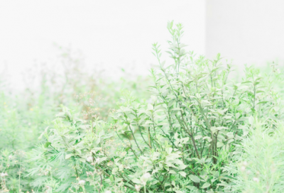 ​2024最新版唯美情侣网名(共192个)