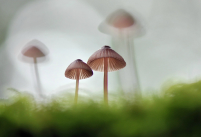 ​忧伤旋律的情侣网名(精选181个)