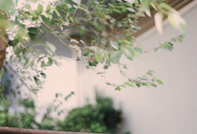 ​涨粉独一无二的网名(精选335个)