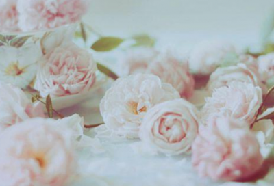 ​霸气高冷的昵称两个字女神范(422个)