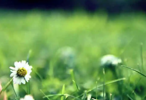 1712142289227200.png image.png