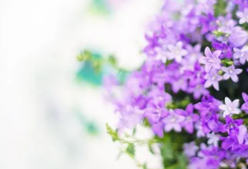 1712142621974233.png image.png