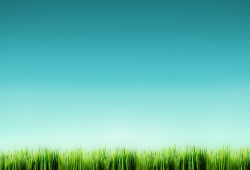 1712142787398701.png image.png