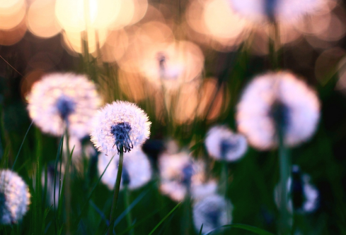 1712142954743370.png image.png