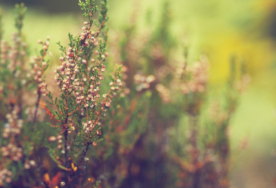 ​秀恩爱网名带对方名字(精选840个)