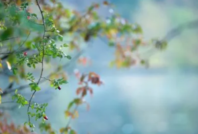 ​很经典的男生带歌名歌词的网名(312个)