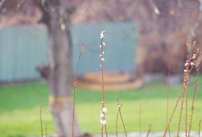 ​温柔又有气质的四字网名(精选333个)