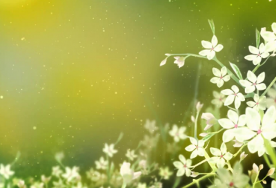 ​女生简单小清新网名(共331个)