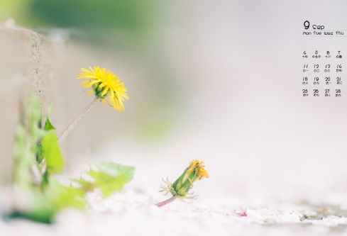 1712145614128839.png image.png