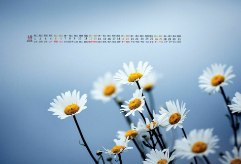 1712145946588946.png image.png