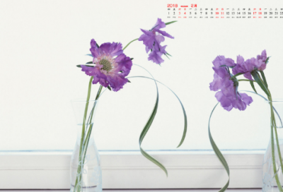 ​对感情专一的情侣网名(216个)