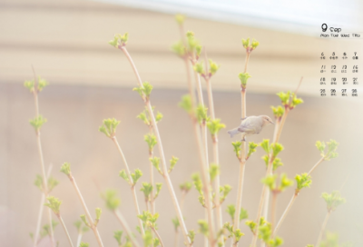 ​简单好听的女生可爱名字大全四个字(共1498个)