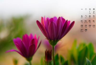 ​冷酷无情的网名(318个)