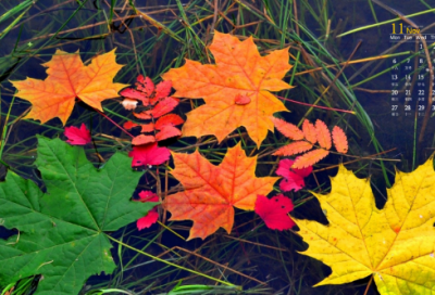 ​阳光大学生有关理想的励志网名(优选314个)