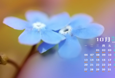 ​有什么伤感的繁体字名字大全(精选313个)