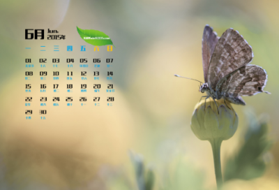 ​5个字游戏名霸气男生网名最新(293个)