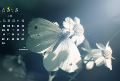 ​很个性潮流好听的英文网名大全(共289个)