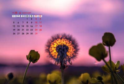 ​个性情侣网名一对(207个)