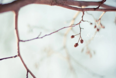 ​念你如初情侣网名大全(204个)