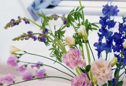 1712153260822178.png image.png