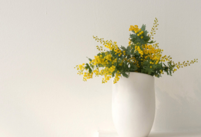 ​关于青春梦想的名字(优选87个)