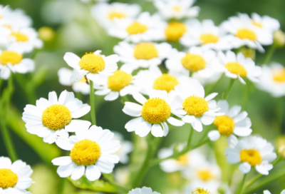 ​好听的二次元情侣名(精选61个)