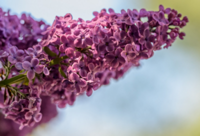 ​男生快手伤感网名大全(精选103个)