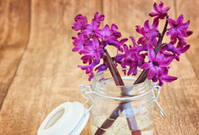 ​感情骗子用什么网名