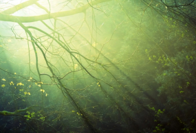 ​90后个性网名大全(100个)