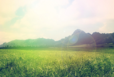 ​很二货很搞笑的网名(92个)