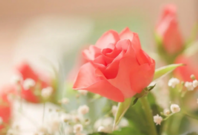 ​好听的没人用的网名(共103个)