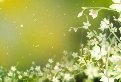 ​孤岛英文字母的网名(共90个)