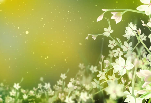 1712159738228834.png image.png