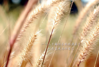 ​超级有趣的搞笑游戏网名(共80个)