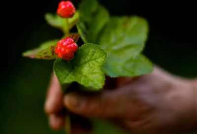 ​长一点的情侣网名(精选49个)