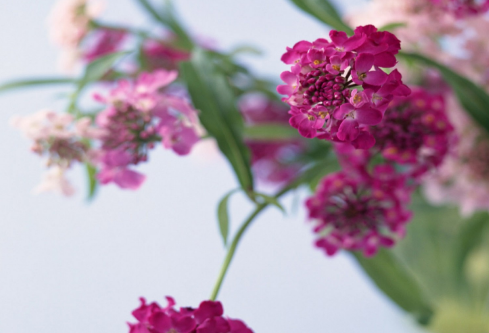 1712161234220762.png image.png