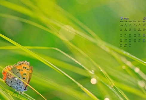 1712161732224757.png image.png