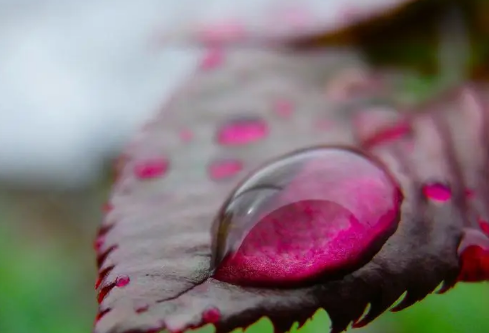 1712161898863320.png image.png