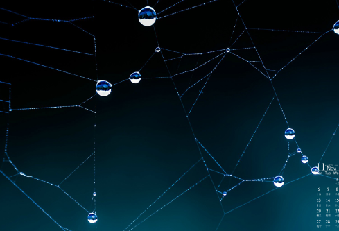 1712164555297535.png image.png