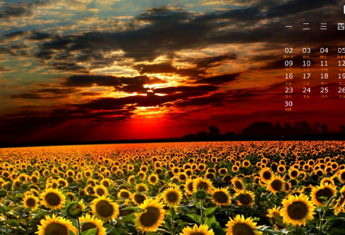 1712165552225790.png image.png