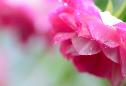 1712166881252430.png image.png