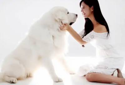 ​唯美爱情短句93句