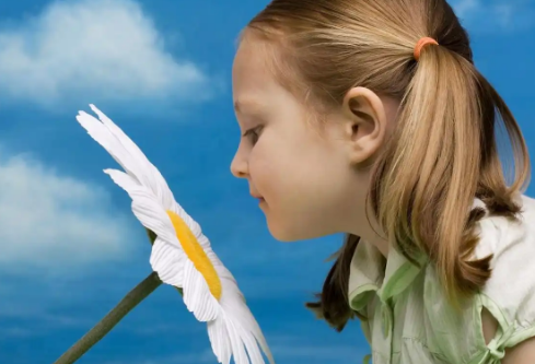 1733461992126250.png image.png