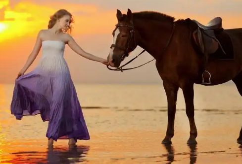 1733463147704172.png image.png