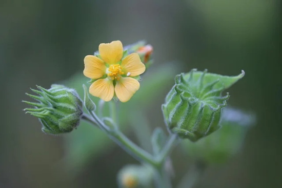 1750403921641775.jpg 19831.jpg